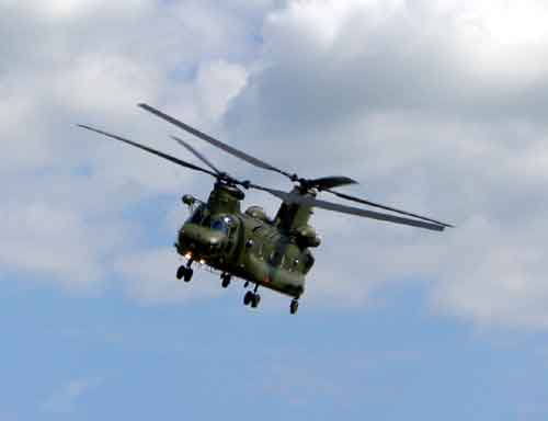 Chinook