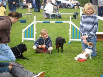 Dog agility competition