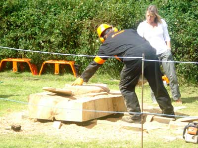 Chainsaw sculpting 
