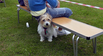 Froyle Fete 2011
