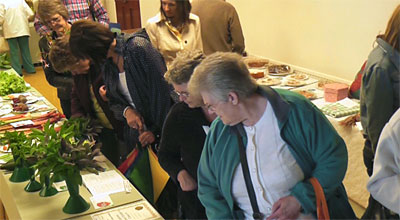 Froyle Fete 2011