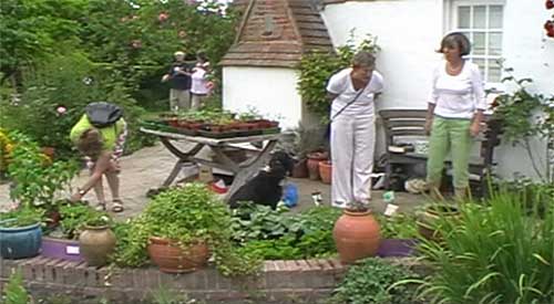 The Cottage