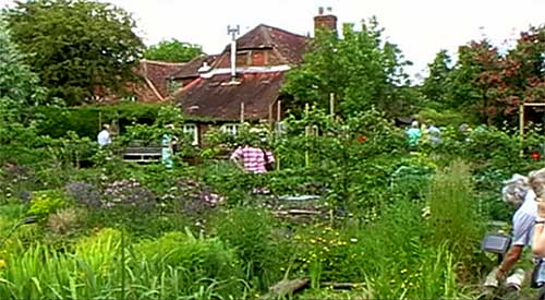 The Cottage