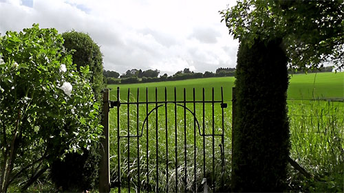 Warren Cottage