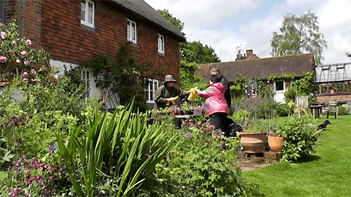 The Cottage