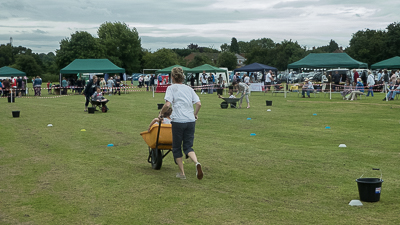 Froyle Fete 2016