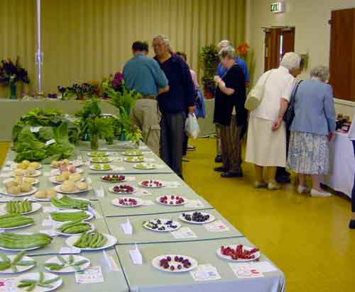 Flower Show