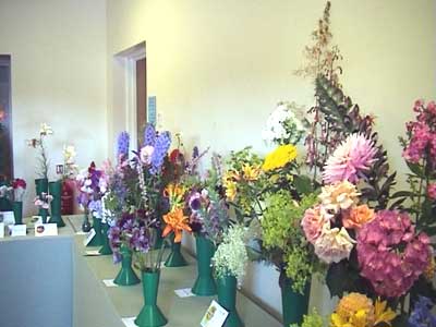 The Flower Show