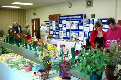 The Froyle Archive's Home Front display featured as a backdrop to the Flower Show 