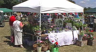 Froyle Fete 2010