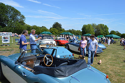 Froyle Fete 2015