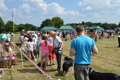 Froyle Fete 2018