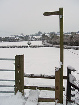 Lower Froyle