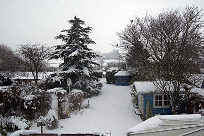 Looking North