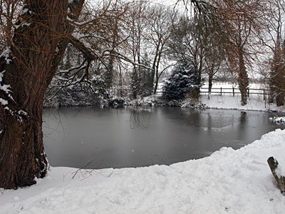 The Village Pond