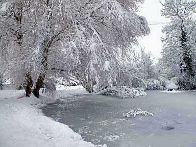 The Village Pond