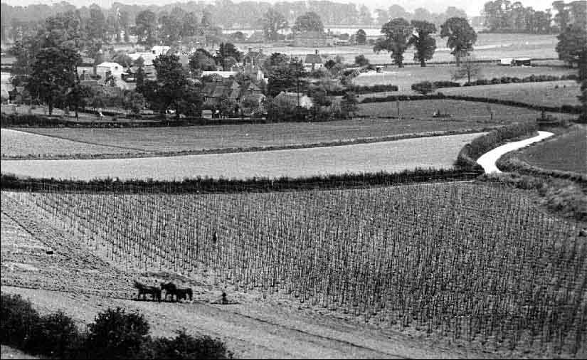 Lower Froyle at the turn of the century