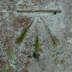 Benchmark