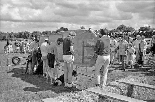 Dog Show