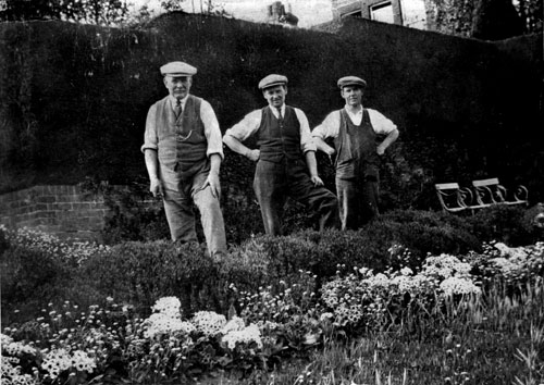 Estate team