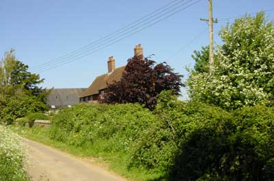 Saintbury Hill Farm, Lower Froyle, in 2001 