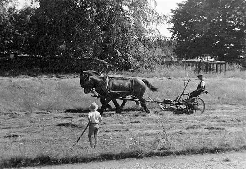 Mowing the lawn