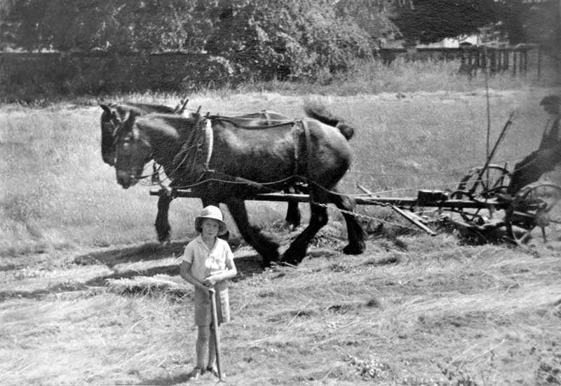 Mowing the lawn in 1941