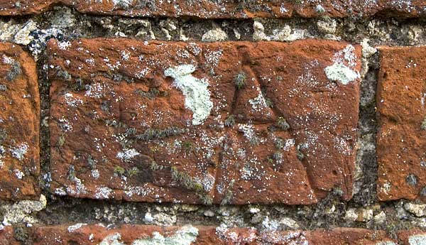 Hodges wall closeup