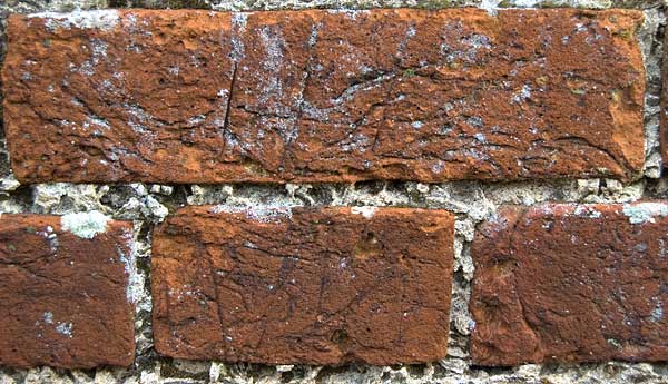 Hodges wall closeup