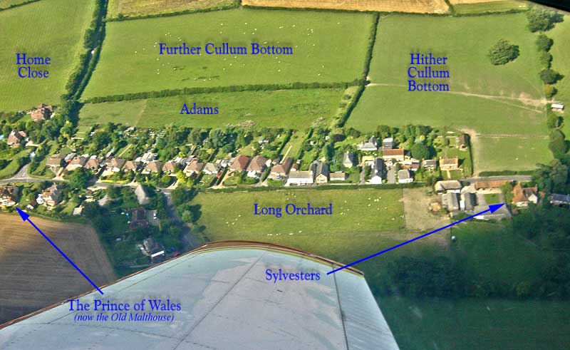 Field name intor