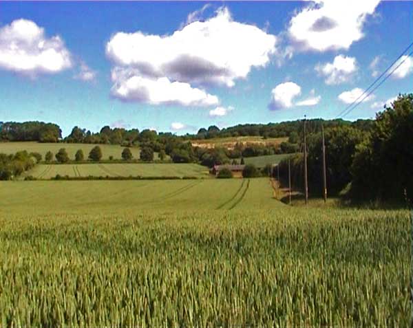 1999
