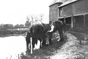Sylvesters Pond