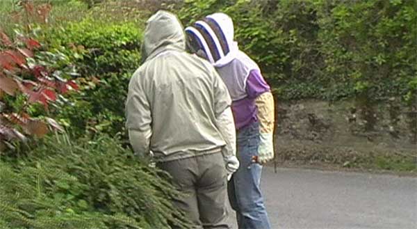 The beekeepers