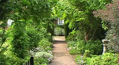 Warren Cottage