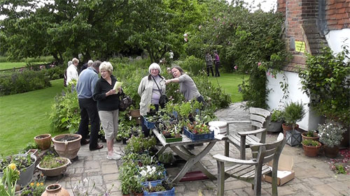The Cottage