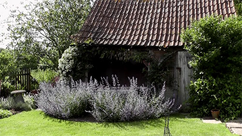 Warren Cottage