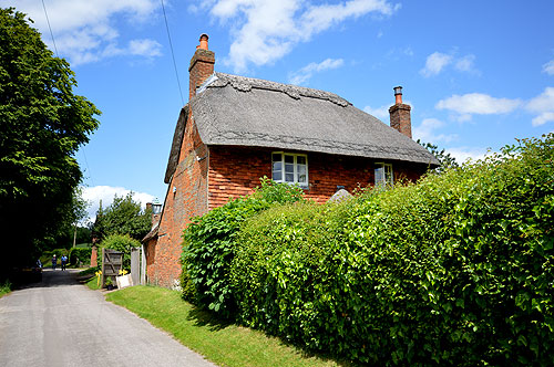 The Cottage