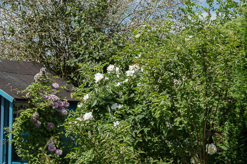 6 Coldrey Cottages