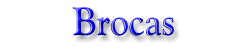 Brocas