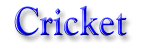 Cricket