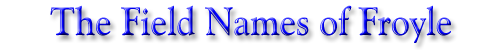 The Field Names of Froyle